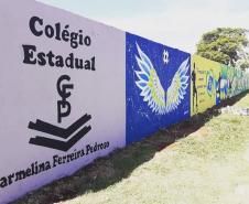 Com o intuito de levar aos educandos um conhecimento mais amplo sobre a Arte Urbana, a professora Márcia Tezza Souza do Colégio Estadual  Carmelina Ferreira Pedroso, município de Arapoti, idealizou o projeto " Pintura Mural e seus Benefícios na Transformação Pessoal e Social", cujo objetivo principal é causar impacto nos espectadores através de desenhos e frases que estimulam a reflexão, bem como levar a sociedade a valorizar a Arte como uma importante ferramenta na compreensão da Valorização