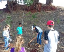 As Instituições de Ensino Estaduais jurisdicionadas ao NRE de Wenceslau Braz aderem ao Programa Paraná Mais Verde, ação promovida pela Secretaria de Estado do Desenvolvimento Sustentável e do Turismo em parceria com as demais pastas do Estado. 