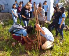 As Instituições de Ensino Estaduais jurisdicionadas ao NRE de Wenceslau Braz aderem ao Programa Paraná Mais Verde, ação promovida pela Secretaria de Estado do Desenvolvimento Sustentável e do Turismo em parceria com as demais pastas do Estado. 
