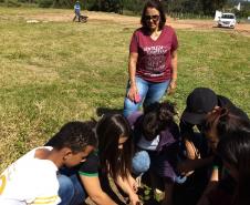 As Instituições de Ensino Estaduais jurisdicionadas ao NRE de Wenceslau Braz aderem ao Programa Paraná Mais Verde, ação promovida pela Secretaria de Estado do Desenvolvimento Sustentável e do Turismo em parceria com as demais pastas do Estado. 