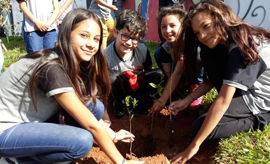 As Instituições de Ensino Estaduais jurisdicionadas ao NRE de Wenceslau Braz aderem ao Programa Paraná Mais Verde, ação promovida pela Secretaria de Estado do Desenvolvimento Sustentável e do Turismo em parceria com as demais pastas do Estado.
