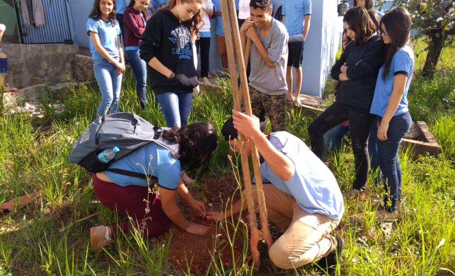 As Instituições de Ensino Estaduais jurisdicionadas ao NRE de Wenceslau Braz aderem ao Programa Paraná Mais Verde, ação promovida pela Secretaria de Estado do Desenvolvimento Sustentável e do Turismo em parceria com as demais pastas do Estado.